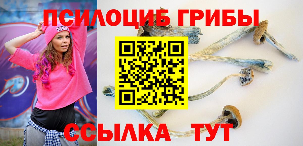 Псилоцибиновые грибы GOLDEN TEACHER Каменск-Уральский