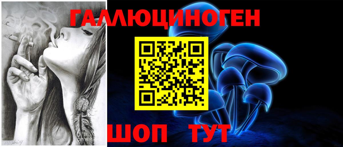 Каменск-Уральский  Псилоцибиновые грибы Psilocybe  Галлюциногенные грибы GOLDEN TEACHER  Вход с VPN 